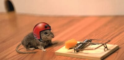 تن ترن تن تن