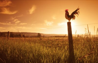 صبحية مع الرب