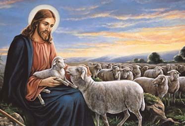 لا تَخَفْ، أَيُّها القَطِيعُ الصَّغِير...