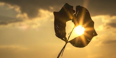 صبحية مع الرب