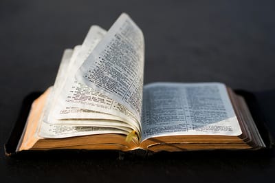 إنجيل يوم ١٧ آب ٢٠٢٠