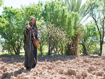 مَنْ لَهُ أُذُنَانِ سَامِعَتَانِ فَلْيَسْمَعْ!