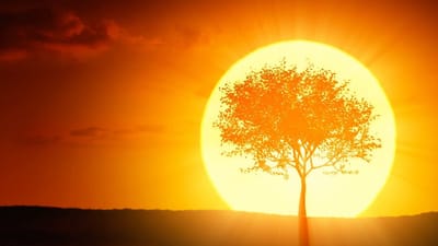 صبحية مع الرب