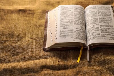 إنجيل يوم ٢٧ آب ٢٠٢٠