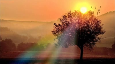 صبحيّة مع الرب