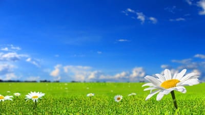 صبيحة مع الرب