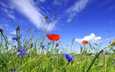 صبحية مع الرب