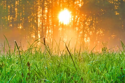 صبحية مع الرب