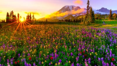 صبحية مع الرب