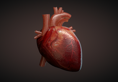 القلب الأجمل