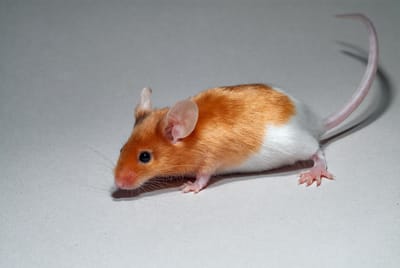 ما تربّو ولادكن عالأحقاد...