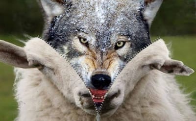 والَّذي يَثبُتُ إلى النِّهايةِ يَخلُصُ...