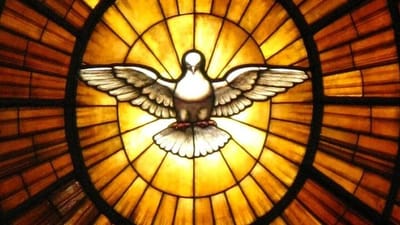 أَمَّا  التَّجْدِيفُ عَلى الرُّوحِ فَلَنْ يُغْفَر