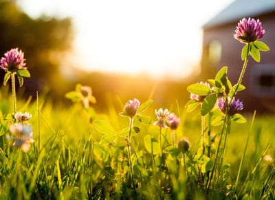 صبحيّة مع الرب