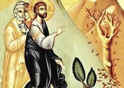 "فجاءَ يَطلُبُ ثَمرًا علَيها، فما وجَدَ..."