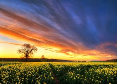 صبحية مع الرب