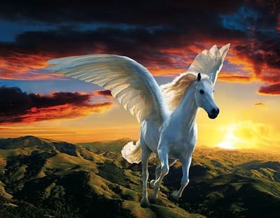 الحصان قد يطير