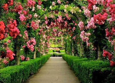 صبحية مع الرب