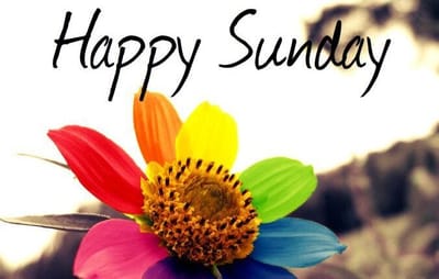 يوم الشمس!!!