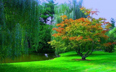 صبحية مع الرب