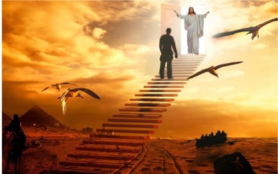 حَسَناً فَعَلْتَ أَيُّهَا الْعَبْدُ الصَّالِحُ...