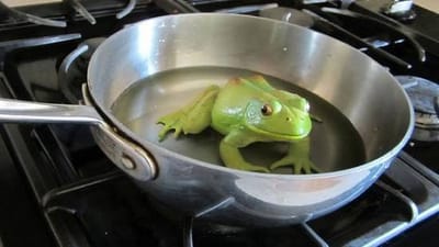 قبل أن تخور قوانا