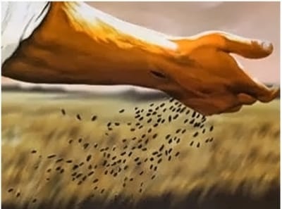 الأرض الجيدة