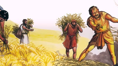 يُشْبِهُ مَلَكُوتُ السَّمَاوَاتِ رَجُلاً زَرَعَ في حَقْلِهِ زَرْعًا جَيِّدًا