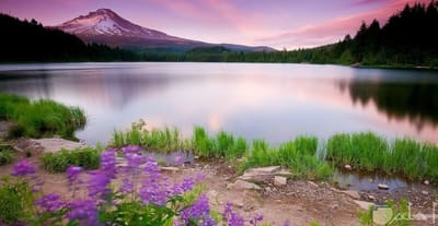 صبحية مع الرب