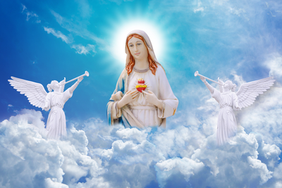 إنّ الورديّة تقودكم إلى السلام