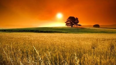 صبحية مع الرب