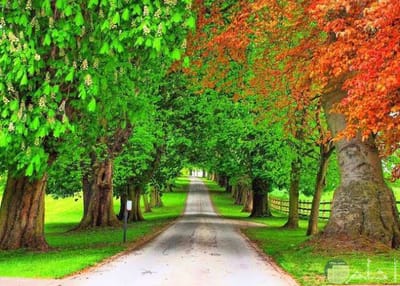 صبحية مع الرب