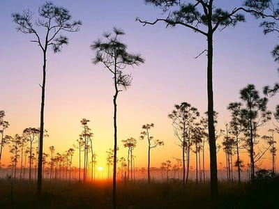 صبحية مع الرب