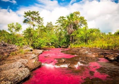 صبحية مع الرب