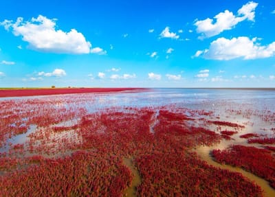 صبحية مع الرب