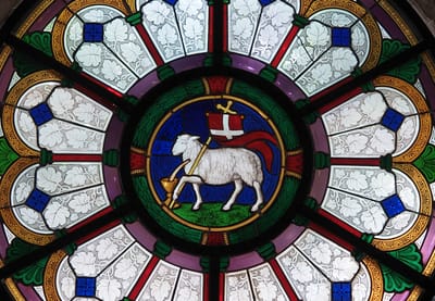 معنى عبارة "لم يفتح فاه"