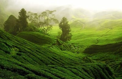 صبحية مع الرب