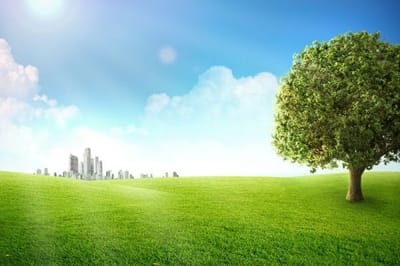 صبحية مع الرب