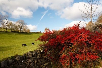 صبحية مع الرب