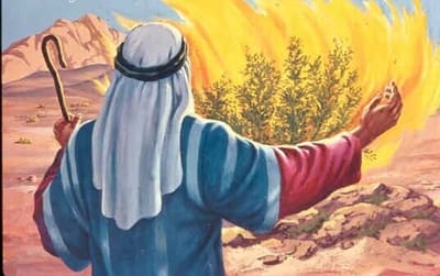 إِخْلَعْ نَعْلَيْكَ مِنْ رِجْلَيْك، لأَنَّ ٱلمَكَانَ ٱلَّذِي أَنْتَ وَاقِفٌ فِيهِ هُوَ أَرْضٌ مُقَدَّسَة