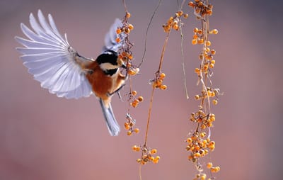 صبحية مع الرب