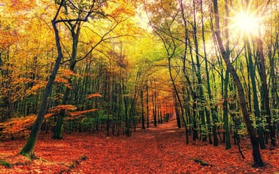 صبحيّة مع الرب