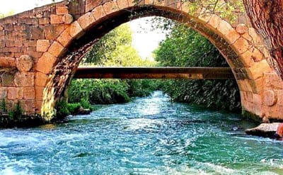 نهر العاصي !!!