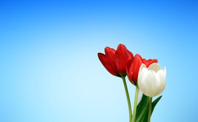 صبحية مع الرب