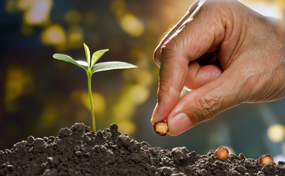 🎓كن ناجحا🎓