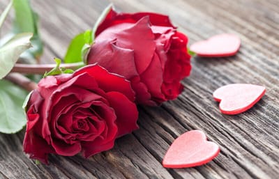 المحبة لا تسقط أبداً