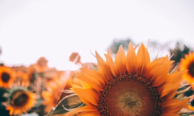 صبحية مع الرب