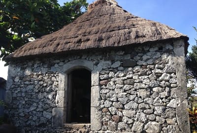 حكمة الحياة