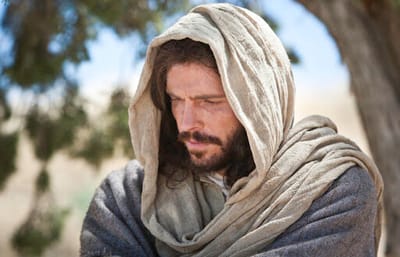 يا نَفْسِي، لَكِ خَيْرَاتٌ كَثِيرَةٌ مُدَّخَرَةٌ لِسِنينَ كَثِيرَة، فٱسْتَريِحي ...