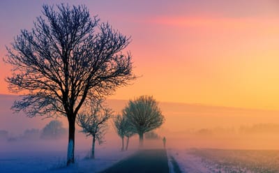 صبحية مع الرب